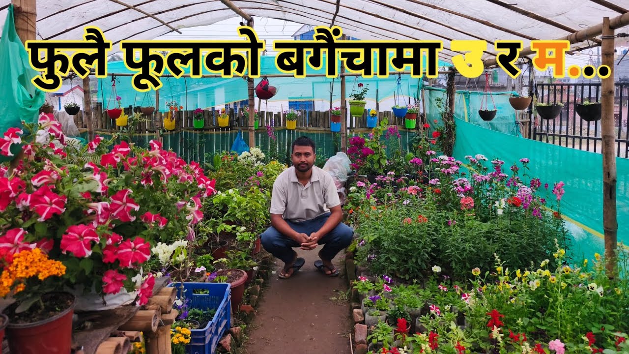 तिमी आउने बाटोमा फुल रोपे मैले तर तिमी आएनौ....