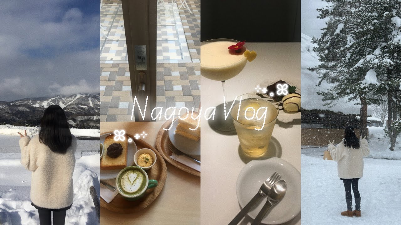 Vlog. 나고야 3박 4일 겨울여행 | 사케 쇼핑, 눈 내린 다카야마 시라카와고 투어 | 가자포, 라무치이, 히츠마부시 하나오카, 하브스 본점