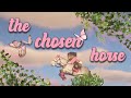 THE CHOSEN HORSE || Discord Helps Me Pick A Horse (MC Equestrian)