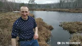 видео: Зарыбление лесного водоёма 2020  Растим рыбу-монстра🤯 картинка: Зарыбление лесного водоёма 2020  Растим рыбу-монстра🤯