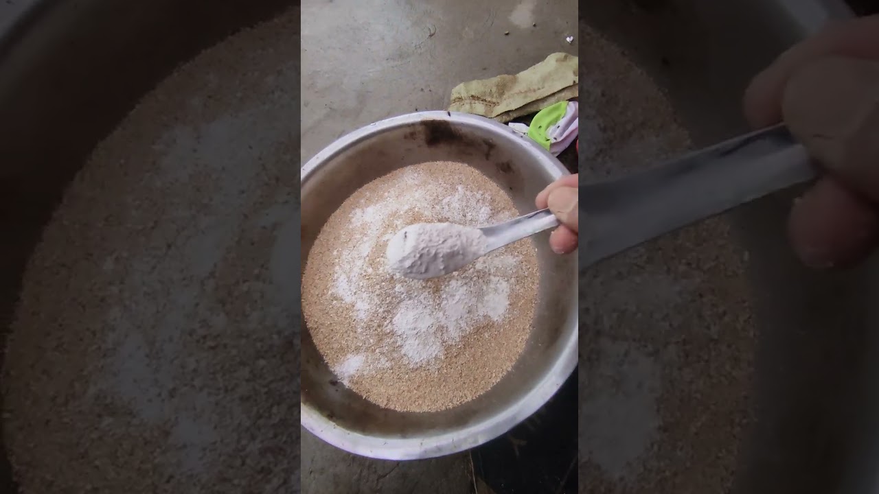 #animals #တစ်နိုင်တစ်ပိုင်ဝက်မွေးမြူရေး#အသားတိုးဝက်စာစပ်နည်း