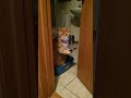 Do not disturb #funny #cat #sora