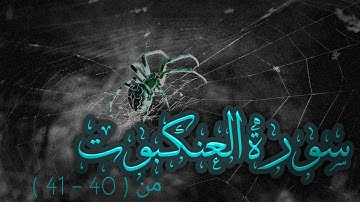 سورة العنكبوت :- مَثَلُ الَّذِينَ اتَّخَذُوا مِنْ دُونِ اللَّهِ أَوْلِيَاءَ كَمَثَلِ الْعَنْكَبُوتِ