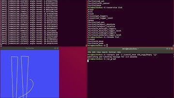 Turtlesim - cleaner mode