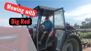 Mowing with Massey Ferguson 396 and Howse Mower