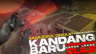 KANDANGNYA MEWAH ‼️ SAMUDRA GROUP JOGJA. #merpatikolong 