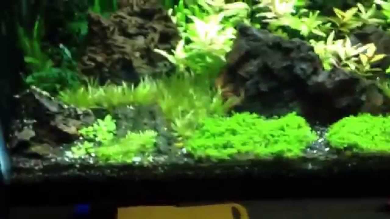 DIY Water Conditioner Part 2, the Findings