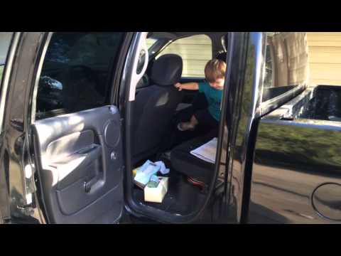 Creature in Car