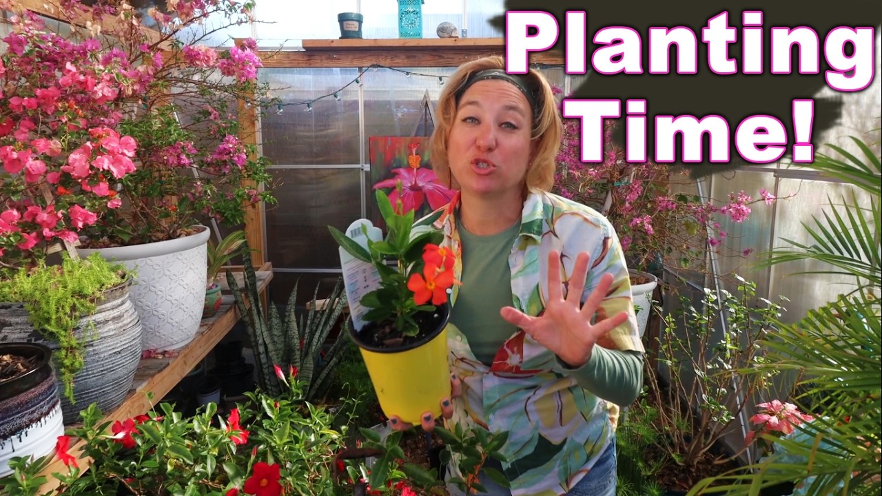Planting Time!! | Tropical Flowers in My Carolina Garden