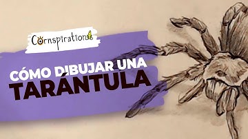 Cómo dibujar una Tarántula  🕸 Paso a Paso #dibujo #arte #tutorial