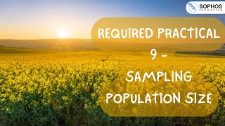 Required Practical 9: Sampling Population Size