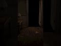 INTO THE DARKNESS WHERE NOTHING IS VISIBLE?! 😭 #shorts #newest #comedy #horrorgaming