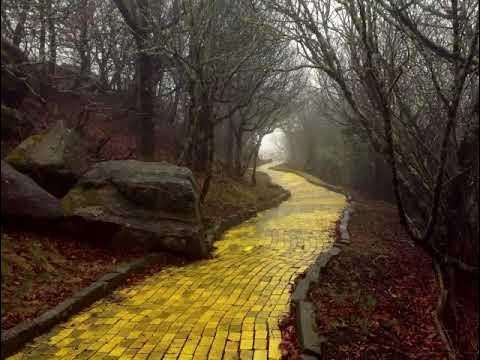 П.Д.Успенский "В поисках чудесного" глава 2 из 18 - YouTube