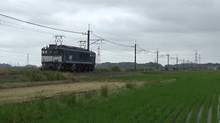 成田線（209系・EF65・EF64）2019.6.9