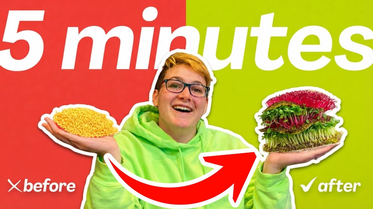 Give Me 5 Minutes and I’ll Change How You See Microgreens in 2026