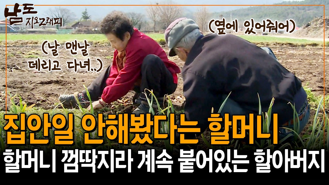 할머니 껌딱지라 떨어지지 않는 할아버지. 그런 할아버지 덕에 집안일도 안해봤다는 할머니👵🏻🧡 [남도지오그래피] | KBS 140318