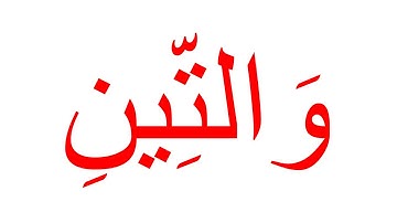 سورة التين_غير مقطعة_جلين دومان_Glenn Doman