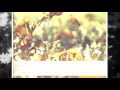 اعلان انطلاق فعاليات المنتدى الوطني للعلوم والتقنية.