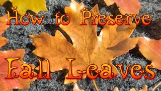 How to Preserve Fall Leaves 🍁#foreverleaf #autumn  #beautiful 