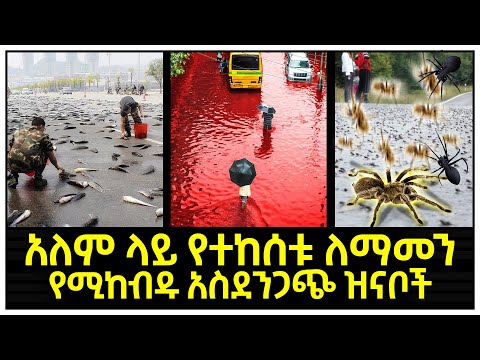 ቪዲዮ: በአለም ላይ ያሉ ምርጥ ባለሪናዎች፡ የህይወት ታሪኮች፣ ታሪኮች እና አስደሳች እውነታዎች