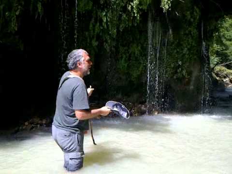 ელგუჯა მარღია(Elguja Marghia)