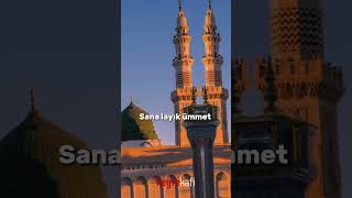 Ya Resulallah Bağışla Bizi,Sana Layık Ümmet Olamadıkki,Hatamız Günahımız Öylede Çok Ki… Resimi