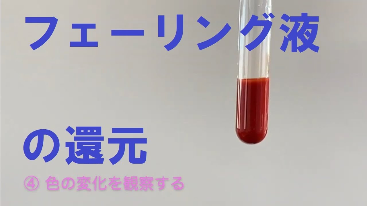 フルクトース経口液インサート