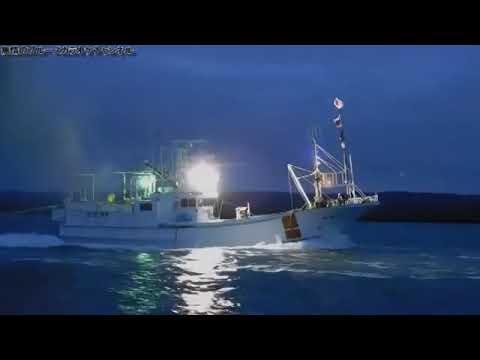 「泉州春木港」　　鳥羽一郎　　coverブルース無情