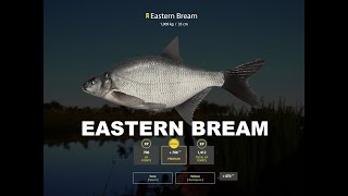 Russian Fishing 4: Eastern Bream on Akhtuba river screenshot 3
