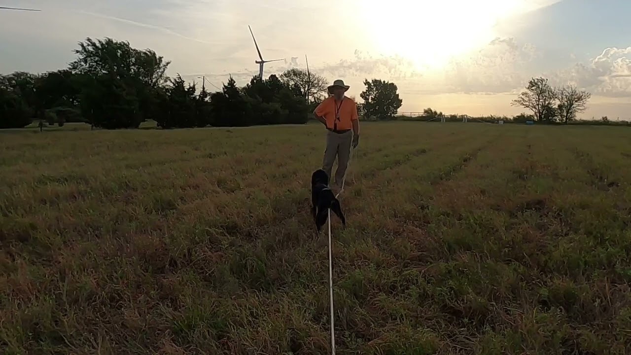 Wren 180 Pass 8 6 22