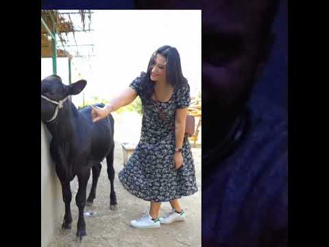 الناس دي عايزه أي مقالب اكسبلور حمدي ووفاء دويتو ترند تيك توك لايك حورات Funny