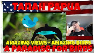 Tanah Papua: A Paradise for Birds - AMAZING VIEWS - AMAZING BIRDS - REACTION