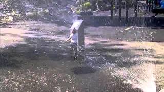 VID-20130730-00016