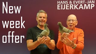 Week Offer With Two Inbred Hens 21-2019 (SOLD)