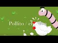 Pollito chicken  canciones infantiles  bilingual songs