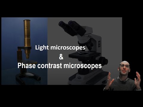 Light microscopy and phase contrast microscopy: How do they work?