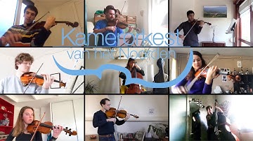 "What do you do these days of quarantine?" - Kamerorkest van het Noorden