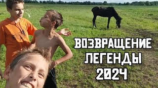 Возвращение легенды! Никита Секисов вернулся и идëт купаться на речку