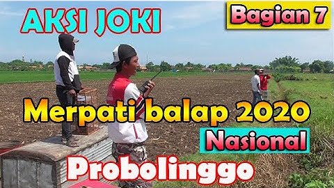 Pemanasan merpati balap nasional probolinggo 2020 Bagian 7