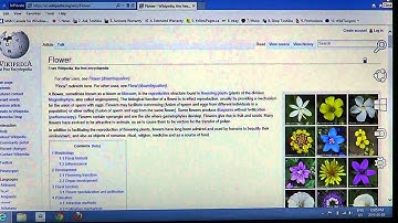 Windows 8  InPrivate surfing in internet explorer 10 desktop