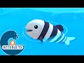 Octonauts  le poisson pilote affam  dessins anims pour enfants