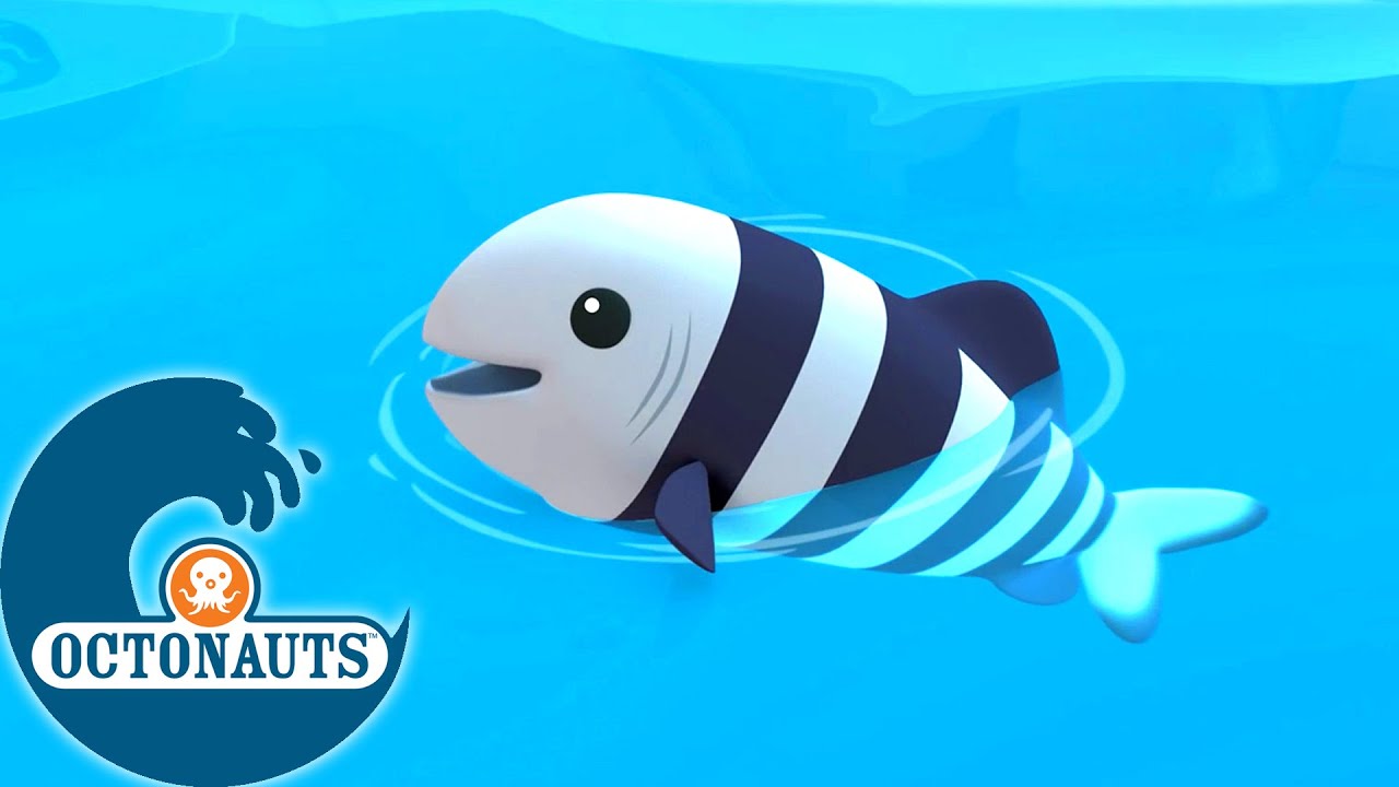 Octonauts - Le poisson pilote affamé | Dessins animés pour enfants