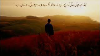 My Hope Nasheed by Ali Dawud (Slowed)