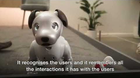 Sony shows off its robot pup at the CES tech expo to highlight its artificial intelligence skills