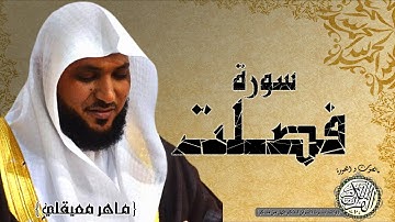 سورة فصلت من مصحف التجويد ( القارئ ماهر المعيقلي )