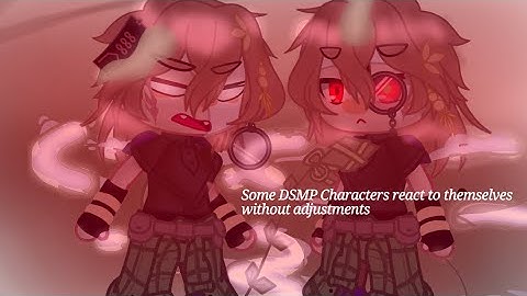 | Some DSMP Characters React To Themselves Without Adjustments |