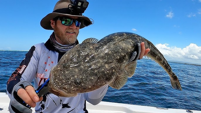 TOPWATER Fishing Off The Beach!! 