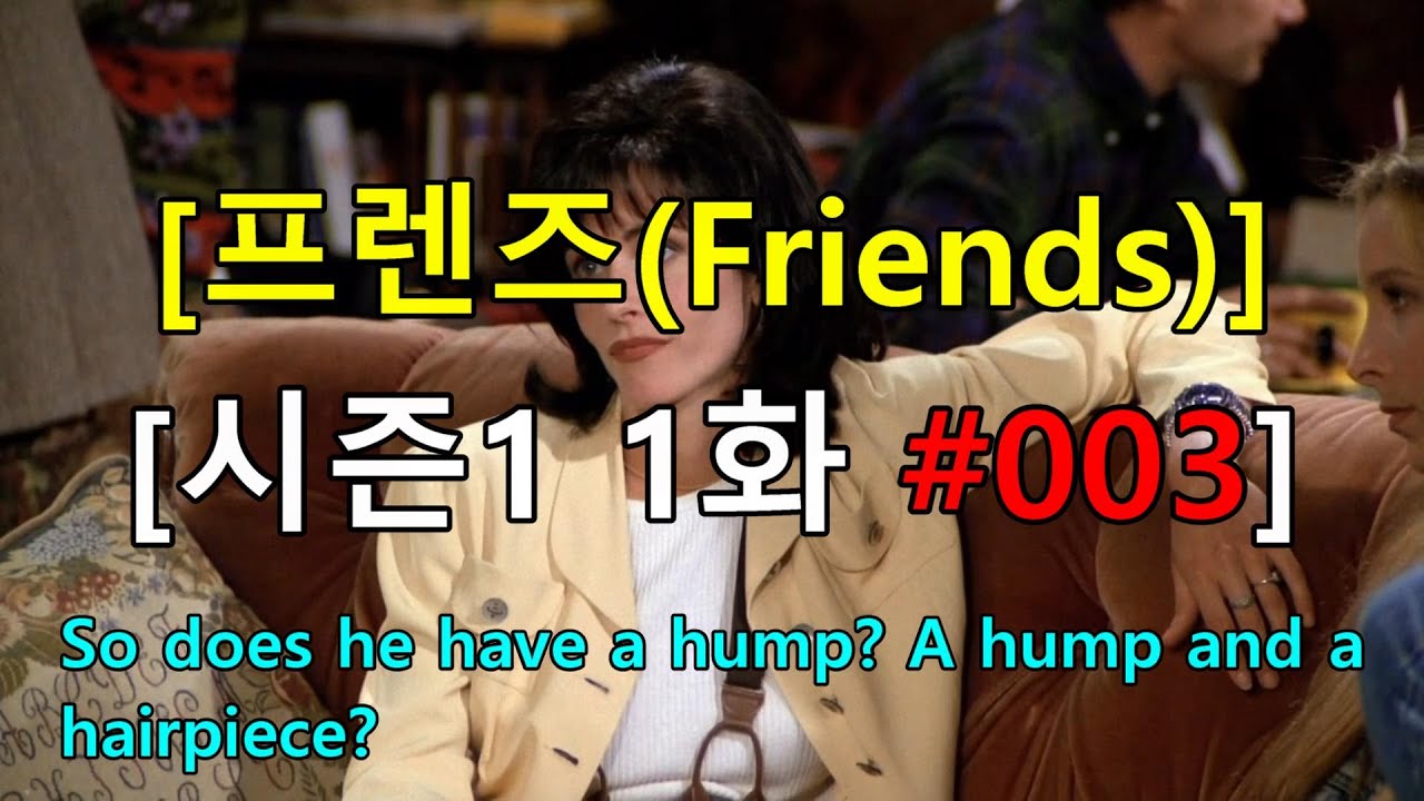 [영어쉐도잉] 프렌즈 시즌1 1화 003 So does he have a hump? A hump and a