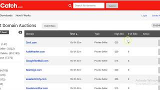 How to buy domains from Dropcatch.com
