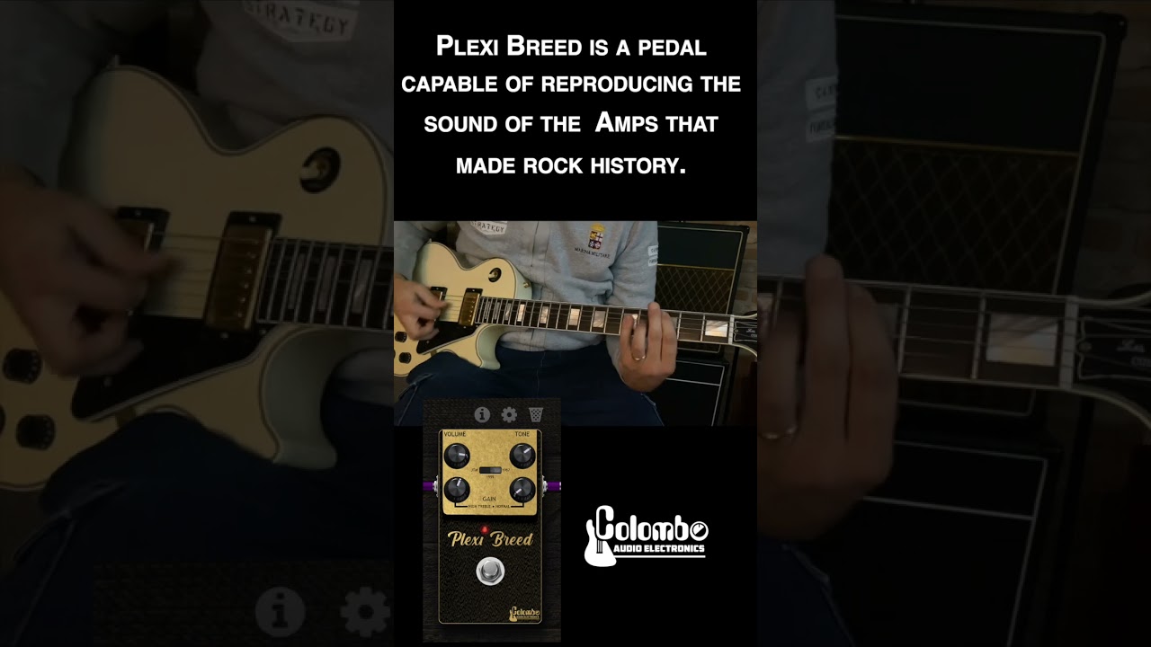 Plexi Breed Plugin, By Colombo Audio Electronics 2  